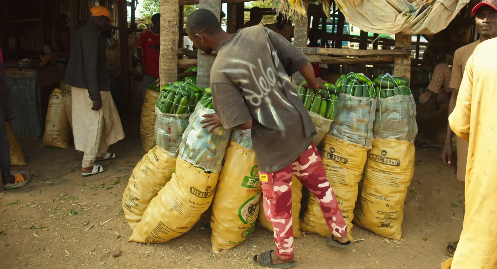Agro-Processing